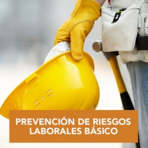 Curso de Nivel Básico en Prevención de Riesgos Laborales